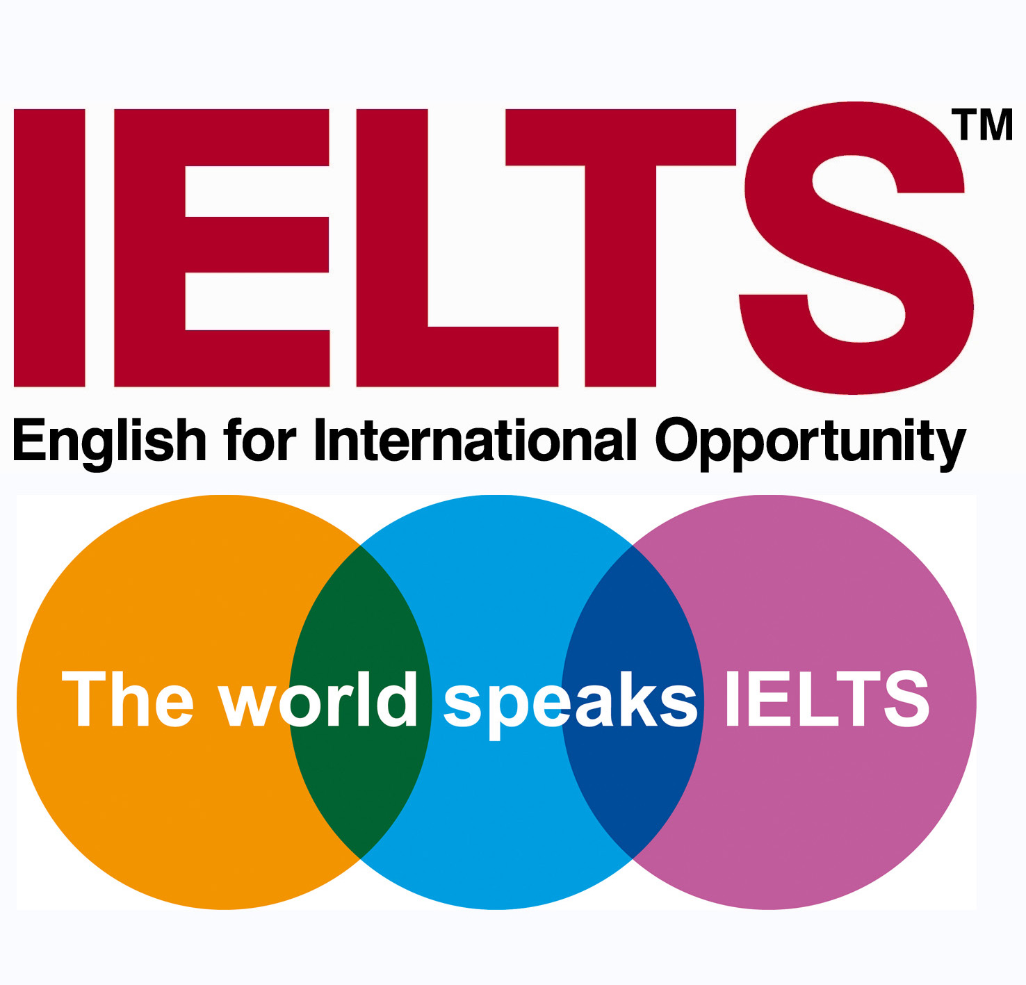 International English Language Testing System (IELTS)